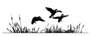 Duckhorn Wine Clubs