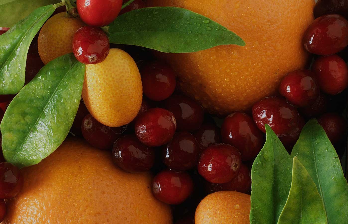 Fresh Cranberry Sauce with Orange