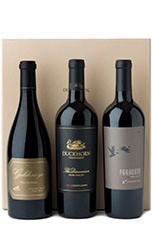 Pinnacle of the Portfolio