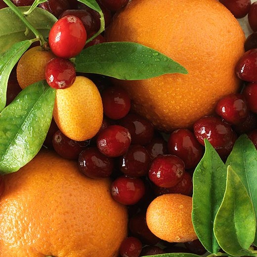 Fresh Cranberry Sauce with Orange